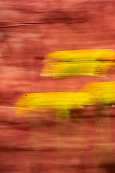 Movement in Bloom - Abstrakte florale Kunst