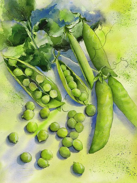 Erbsen by Jitka Krause