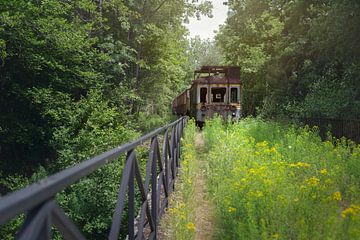 abandoned train by Kristof Ven