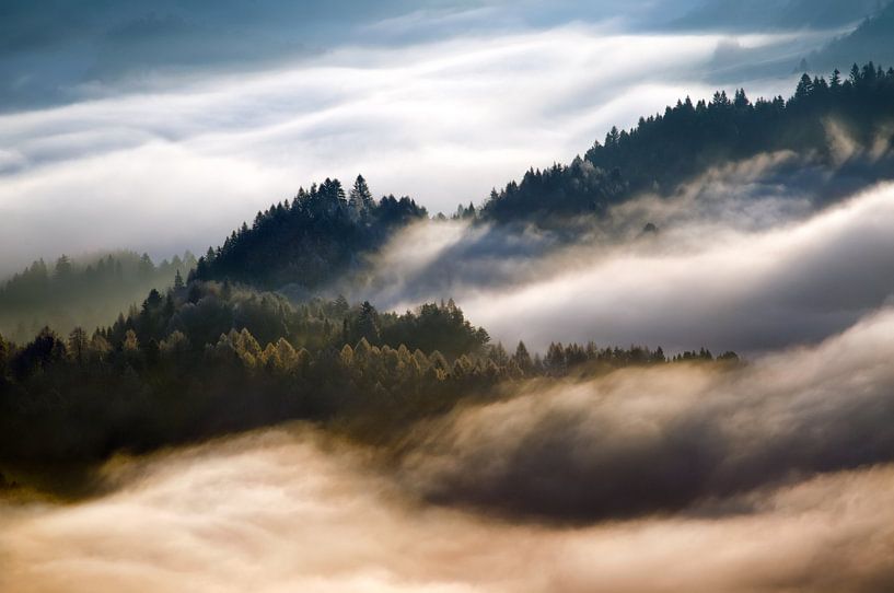 Brouillard matinal de Pieniny par Wojciech Kruczynski