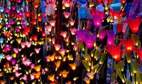 Lichtgevende bloemen