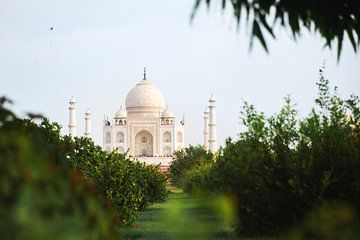 Taj Mahal, India van Yvette Baur