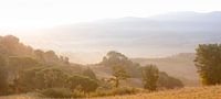 toscane