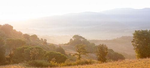 toscane