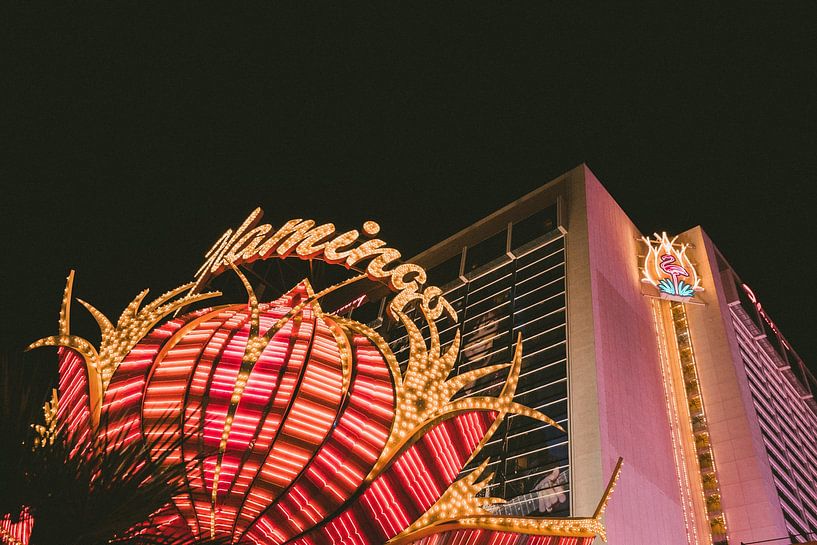 Las Vegas by Hello Pompoyo
