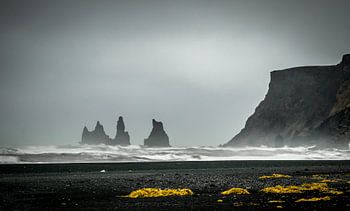 Vik schwarzen Sandstrand