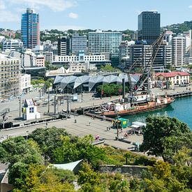 Uitzicht over de haven van Wellington van Niek