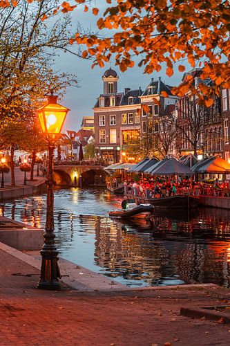 Nuances chaudes sur un nouveau Rhin automnal à Leyde (0218) sur Reezyard