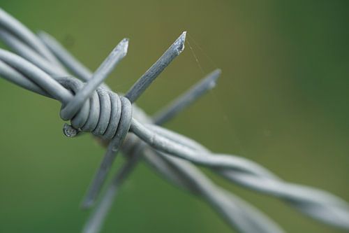 Stacheldraht