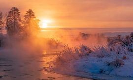 Alfa en Omega van Krzysztof Tollas