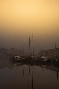 Misty Morning van Lima Fotografie