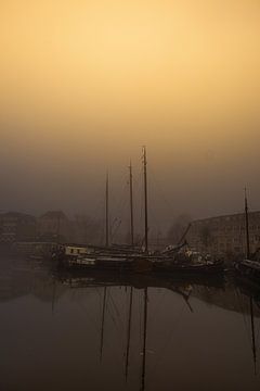 Misty Morning van Lima Fotografie