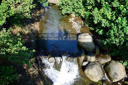 Waving from the bridge