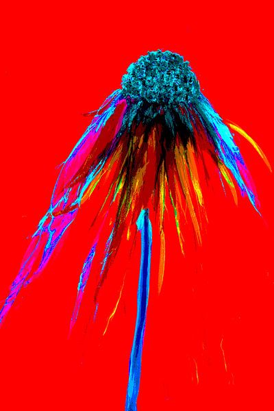 Abstracte Bloem/Abstract Flower/Abstrakte Blume/La Fleur abstraite van Joke Gorter