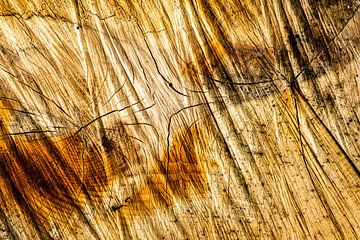 Korrel hout abstract van Dieter Walther