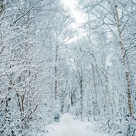 Winter in Baggelhuizen van Henriette Tischler van Sleen