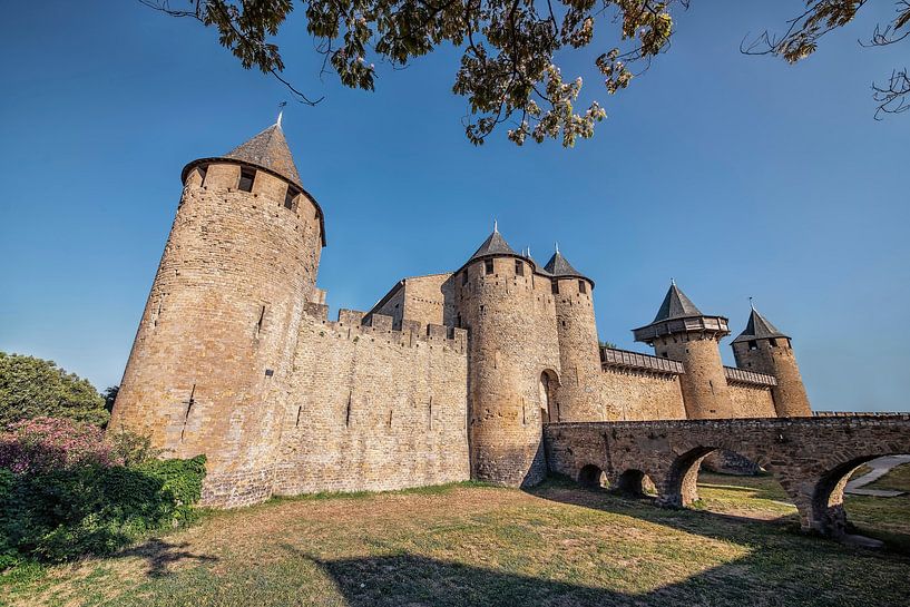 Schloss Comtal von Manjik Pictures