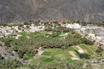 Wadi in Oman van Jeroen Kleiberg
