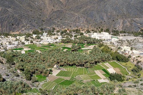 Wadi in Oman