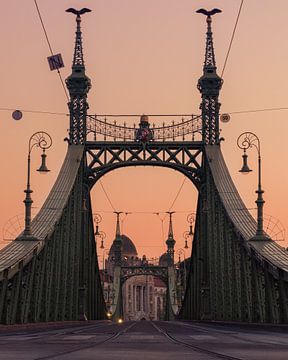 Pracht bei Sonnenuntergang: Die majestätische Freiheitsbrücke von Budapest von Ylenia Di Pietra
