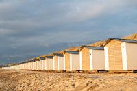 Texel strandhuisjes de Koog