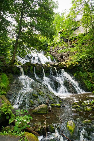 Kleine waterval in het bos met mos op stenen van Martin Köbsch