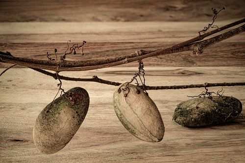 Nature morte moderne Pierres. Beige et marron.