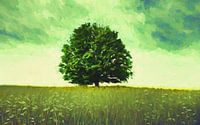 Solitary tree by Angel Estevez thumbnail