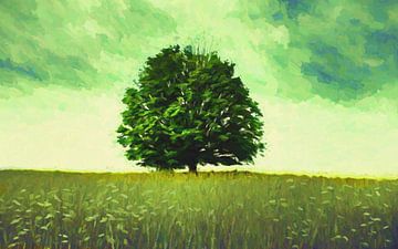 Solitary tree by Angel Estevez