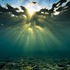 Onderwater wolkenstralen/god rays boven het rif van Eric van Riet Paap