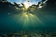 Unterwassergott-Strahlen / Sonnendurchbruch von Eric van Riet Paap Miniaturansicht