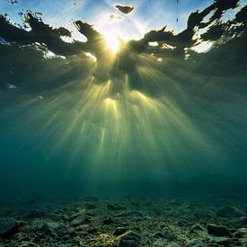 Onderwater wolkenstralen/god rays boven het rif van Eric van Riet Paap