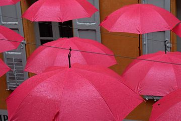 Felgekleurde, vrolijke roze paraplu's op een rij in het centrum van Grasse, in de regen van Studio LE-gals