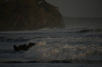 Küste bei Cahuita, Costa Rica
