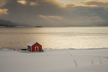 Chalet rouge sur Senja