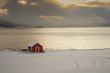 Rood huisje op Senja van rik janse