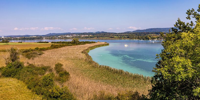 Réserve naturelle de la presqu'île de Mettnau sur le lac de Constance par Werner Dieterich