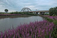Lekbrug Vianen 2 van Maarten Kerkhof thumbnail