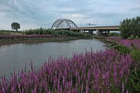 Lekbrug Vianen 2