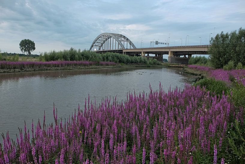 Lekbrug Vianen 2 van Maarten Kerkhof