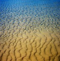 Transparency#1 Waves