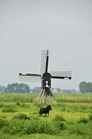 Mill in Friesland