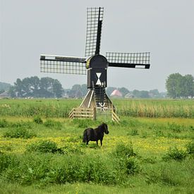 Mill in Friesland by Michael de Boer