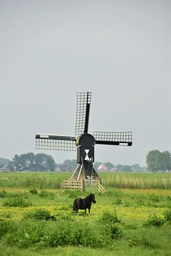 Mühle in Friesland von Michael de Boer