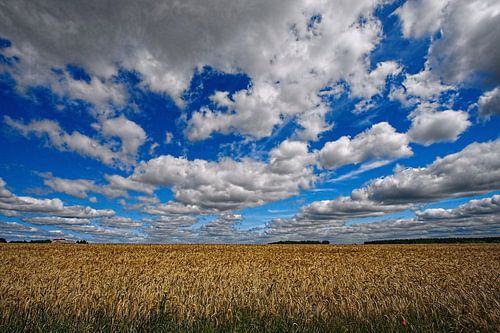 Clouds over Polish Wheatfield