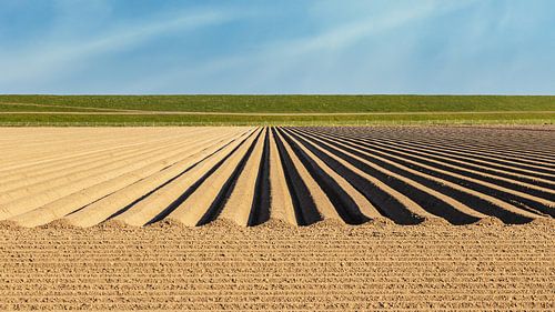 Lijnen in het landschap