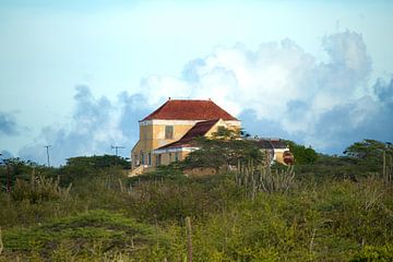 Country house Curacao by Brenda Verboekend