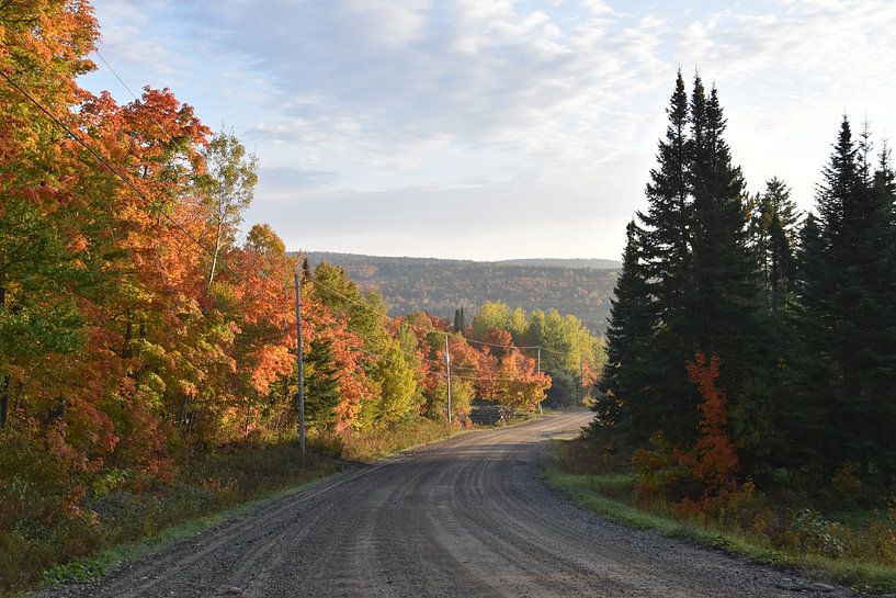 The road to the lake in autumn by Claude Laprise