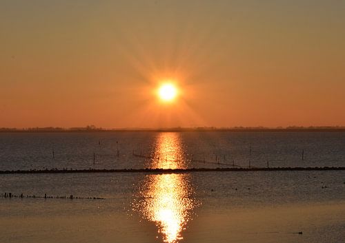 De zon in zee..