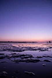 Mudflat Textures by Anna Groenia